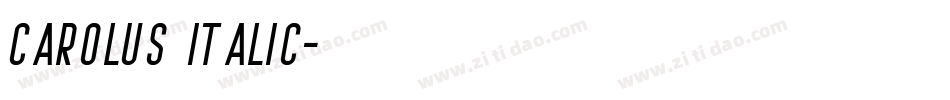 Carolus Italic字体转换